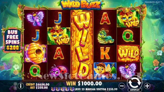 wild casino review